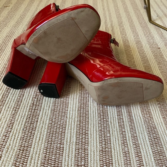 Tahari Booties - Picture 4 of 5